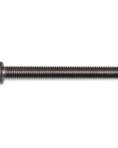 Hexagon head screw M  6x 55    DIN 933 SST